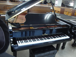 임대 피아노  K-185